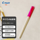【礼物】百乐（PILOT）平行艺术笔 美工钢笔 鸭嘴笔 艺术字体英文书法钢笔FP3-30-SSN 3.0mm套装