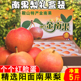 梦宛怡辽宁鞍山特产南果梨东北当季酒香水梨子现摘新鲜酥脆南国梨水果 5斤大果礼盒装16粒精品阳面红果 精品果