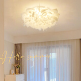 大观园（DGY）北欧设计师卧室吸顶灯意大利浪漫花瓣客厅主灯广东中山灯具194O 24W 9671-53CM-无极调光-