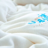 天山雪域 纯棉纱布套 棉胎高密度内胆套包棉絮布套子布艺软饰花色随机 logo纱布套180*220cm（有拉链）