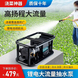 绿汀家用水井抽水泵自吸泵家用农用大功率灌溉机浇菜神器浇水机充电式 12AH天能水泵+10米6分管