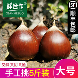 鲜合作（XIANHEZUO）【顺丰发货】2025年现摘福建特产建瓯高山锥栗圆尖油栗子新鲜板栗