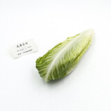 威廉农场罗马生菜心 罗马菜心 菜心 蔬菜  Romaine Lettuce (big) 500g 500g