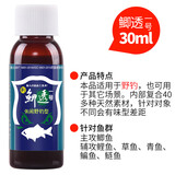 穿透王秋冬黑坑野钓鲫鱼鲤鱼钓鱼小药口水剂草鱼青鱼药酒诱鱼剂混养鱼饵 新鲫透1号（30ml 野钓鲫鱼小药）