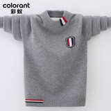 彩蚁童装秋冬新款儿童针织衫中大童毛衣圆领加厚男童羊毛衫