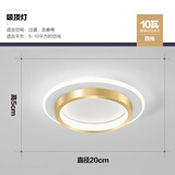 祎琳过道走廊灯现代简约北欧入户门厅玄关衣帽间灯创意个性led房间灯 金色圆形20CM白光