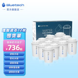 聚蓝（bluetech） 三代直饮理智滤芯净水器壶去水垢泥沙铁锈农残真菌余氯除菌527/530 【理智滤芯12支】