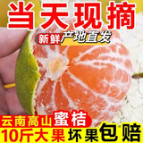 柏馋云南青皮蜜橘蜜桔薄皮桔子新鲜孕妇水果新鲜当季整箱 9斤特大果（65-70mm）净重8.5斤