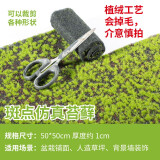 石光小站 苔藓 吸水石上水石盆景盆栽装饰青苔苔藓植物微景观生态瓶鲜活仿真铺面 斑点仿真苔藓50*50cm