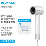 飞科（FLYCO）电吹风机高速家用轻音负离子大功率不伤发七夕礼物吹风筒宿舍便携送女生礼物 珍珠白【配收纳包】