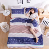 爱思居 法兰绒毛毯绒珊瑚绒毯子盖毯保暖午睡毛巾冬季被子垫床人双人单 爱的城堡 200*230cm【双人标准】