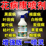 花病康喷剂杀菌剂花卉通用免稀释直接喷多菌灵植物通用杀菌剂官方 单瓶【500ml】带喷头