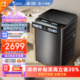 小天鹅（LittleSwan）波轮洗衣机全自动 小乌梅 【TB100V85PLUS] 水魔方防缠绕 超微净泡洗 直驱变频 炫彩大屏 10公斤