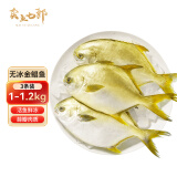 卖鱼七郎鲜活冷冻金鲳鱼1kg-1.2kg 共3条海鱼 生鲜 鱼类 海鲜水产 