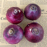 荷兰进口风信子种球水培花客厅植物室内花卉盆栽桌面观赏绿植耐寒 随机颜色两个种球 周长15-18cm（送营养液）