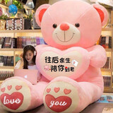 优美尚毛绒玩具女孩熊猫公仔抱抱熊超大泰迪熊布娃娃女生日礼物睡觉抱枕 粉爱心（往后余生陪你到老 全长量120cm彩袋