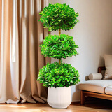 叹为观止大型独杆发财树庆典乔迁盆景绿植办公室盆栽客厅大型植物 摇钱树1.6-1.8米 含盆