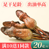 集贡轩长白山雪蛤干 整只林蛙干 东北蛤蟆油  哈什蚂干  新年礼盒 20克1只装（下单10只发11只）