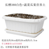 美外 矮加仑花盆泥土带土加仑盆盆土 白色种菜盆+种菜土