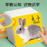 Y•S•R 奕思瑞早教书彩色卡婴儿童认知卡片0-1-3岁动物识数字看图识物宝宝玩具 动物+果蔬【2盒180面】