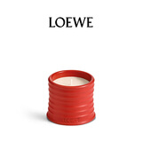 罗意威（LOEWE）番茄叶香薰蜡烛170g小号新婚礼物送女友高档伴手礼生日礼物