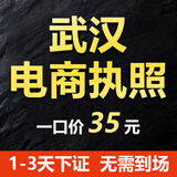 营业执照代办公司注册营业个体户执照办理个体工商户营业执照个独营业执照注销账户广州深圳武汉佛山注册公司 武汉个体