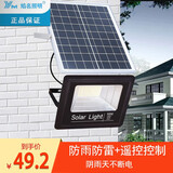 焰名照明（YM） 防水太阳能灯户外LED投光灯庭院灯超亮家用新农村室内外围墙照明 20W黑金刚 五米线 遥控