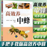 高效养中蜂 蜜蜂养殖技术书籍 养蜜蜂的书籍 中华蜂土蜂中蜂饲养养殖技术书籍 养蜂技术大全养蜂技术手册 高效养中蜂