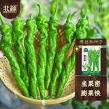 北蔬 螺丝椒种子种苗皱皮特辣辣椒四季蔬菜种籽 北蔬螺丝椒种子100粒