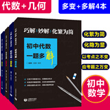 正版初中代数几何 一题多解一题多变4本套装 初中代数几何专题训练 含答案 初中数学解题指导通用教辅书