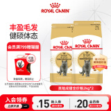 皇家（ROYAL CANIN）猫粮 英短成猫粮全价粮 英短成BS34 湿粮主食级 通用粮12月以上 【1岁以上】英短成猫 2kgX2