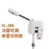 泰东 蒸脸仪 冷热喷雾机 冷热蒸脸器美容院用美容补水仪器家用脸部保湿喷雾 纯白可调 单管冷热喷-KL-388