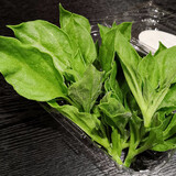 寿禾 冰菜冰草种子冰晶农家四季播蔬菜种孑阳台秋冬季盆栽菜籽种籽 冰草种子1万粒装+肥料+种植资料