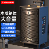 新科 （Shinco）广场舞音响户外拉杆蓝牙音箱三喇叭重低音木质箱体家用K歌移动摆摊低音炮 8吋单咪