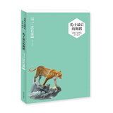 沈石溪动物小说精品少年读本：豹子最后的舞蹈 儿童年货节送礼