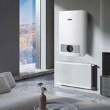 博世（BOSCH）壁挂炉暖气家用天然气采暖散热片水暖钢制壁挂式全套供暖系统 德国进口暖气片一组