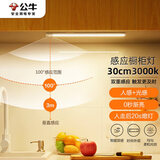 公牛（BULL）感应橱柜灯衣柜灯LED人感光感磁吸 卧室床沿玄关小夜灯30CM3000K