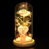 贞嘻圣诞节礼物新年生日送女朋友实用女孩浪漫惊喜永生花摆件桌面装饰 举牌永生花 容我爱你、深不见底