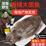 大墨鱼1-9斤鲜活急冻乌贼特大目鱼鱿鱼八爪鱼生鲜食材鱿鱼须海兔 一条大墨鱼 5斤(净重)  ±1至2两