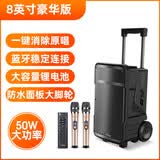 山水（SANSUI）户外K歌拉杆音响大功率重低音广场舞智能音箱多媒体会议带麦克风8英寸A08电木吉他民谣乐器音箱