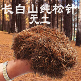 兰花专用松针土橡树叶腐叶腐熟松针多肉无土纯天然松针腐殖土花土 5斤无土腐熟纯松针