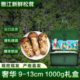 土地母亲计划 雅江松茸菌未开伞新鲜松茸鲜菌菇冷链空运现货快至24H达团购送礼 【奢华精品礼盒】9-13cm 1000g