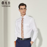 雅戈尔（YOUNGOR）长袖衬衫男DP免烫衬衫纯棉面料抗皱易打理新品 YLDP10171BJA白色 39