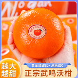 亿果争鲜广西沃柑9斤橘子新鲜水果武鸣当季整箱一级皇帝 带箱9斤 特大果（75-80mm）
