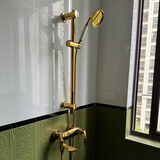 德国全铜卫生间冷热增压家用浴缸简易欧式法式复古淋浴花洒套装 钛金带下水（配升降杆）