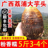 南方美农【顺丰发货】广西特产正宗荔浦芋头新鲜香芋槟榔芋蔬菜特大一级 5斤3-5个
