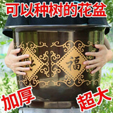 努拉派加厚塑料花盆仿陶瓷花盆月季绿植绿萝阳台种菜种花盆 金福特大号520#(口径48cm高37）