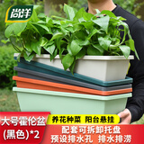尚洋霍伦种菜花盆大号(黑色*2)家庭育苗神器塑料盆室内阳台植物种植箱