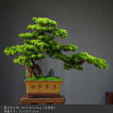 朴记 禅意新中式仿真迎客松艺术品摆件客厅酒店玄关办公桌软装室内创意陶瓷盆景家居根雕桌面装饰品 紫砂大美叶大号