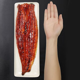 珍鲟味生鲜鳗鱼 500g/袋蒲烧鳗鱼加热即食日式活烤鳗鱼儿童鳗鱼宝宝年货 【划算】500g/包*2 活烤鳗鱼